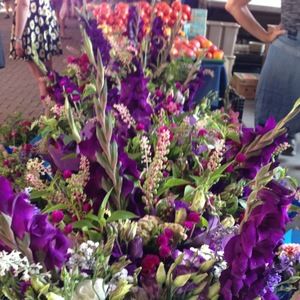 Meet your Posher, Rita